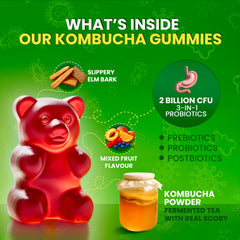 BLIVA Nutrition kombucha gummies product image with mixed-fruit flavor and SCOBY