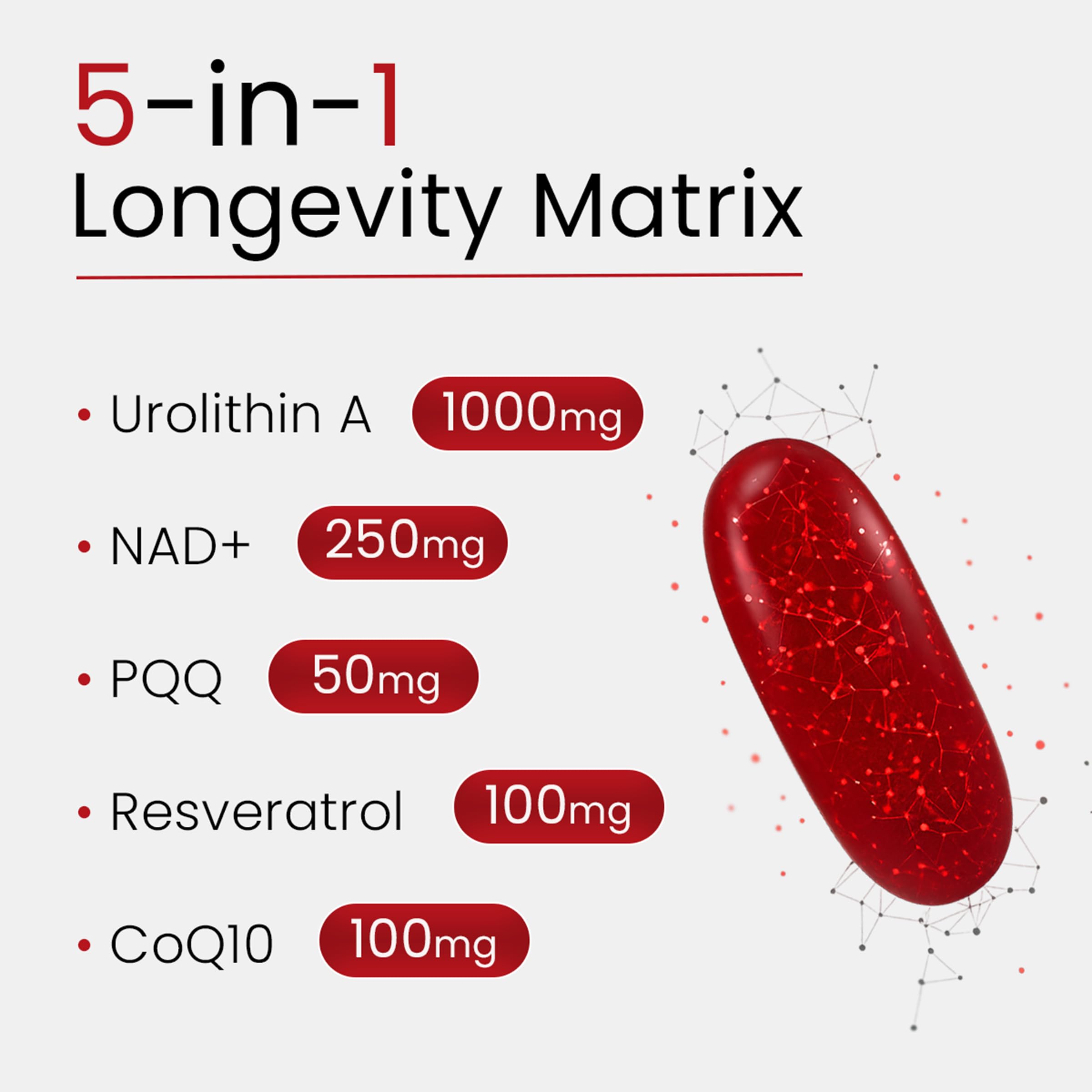 Bloomeo Urolithin A bottle back, notes GMP, vegan-friendly formulation.