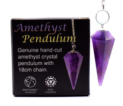 Blue Moon Pup pendulum chart box showing organized readings and journaling support.