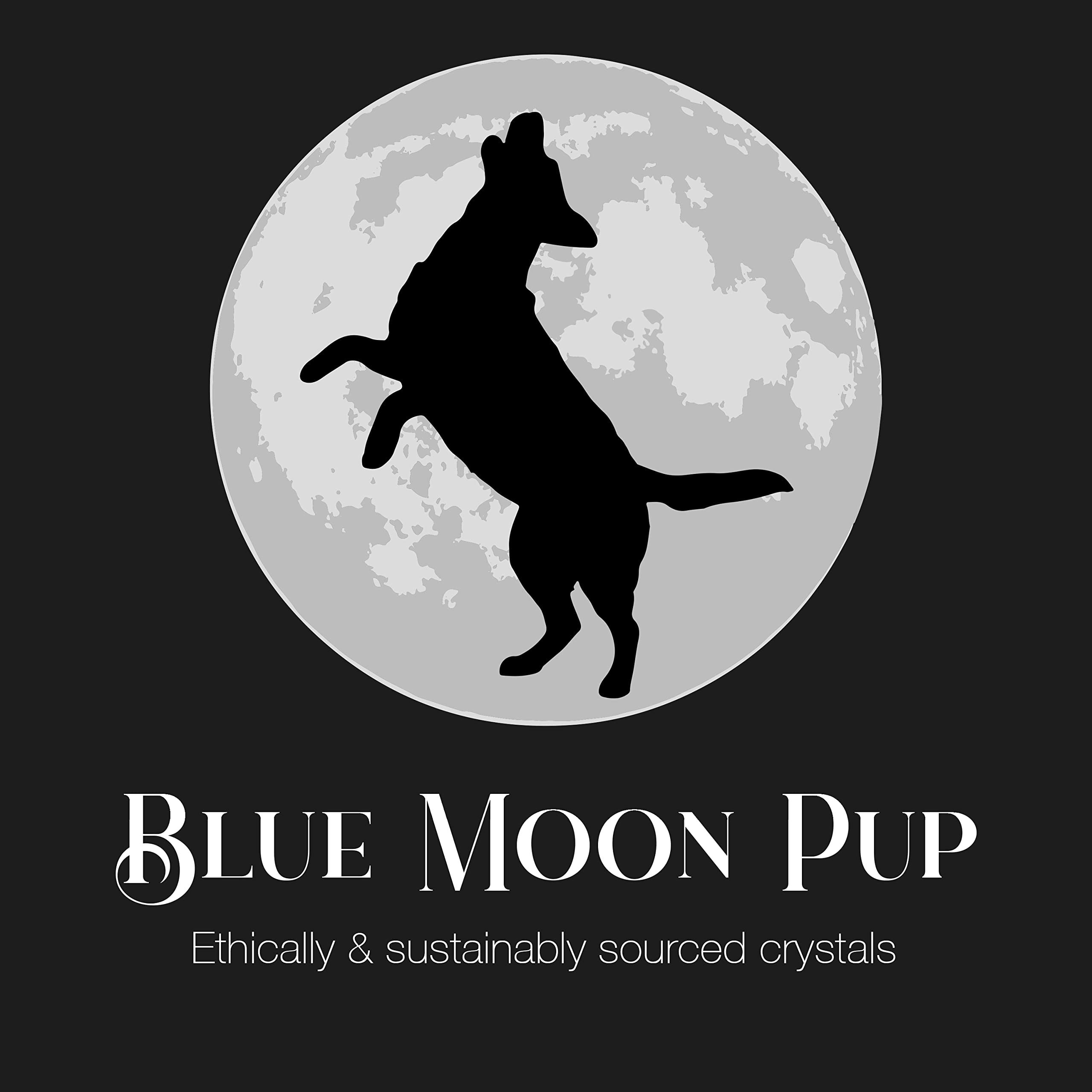 Blue Moon Pup precise readings support personal insight and mindful decision-making during practice.