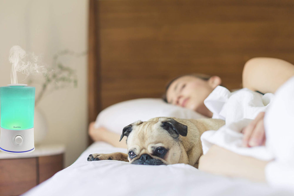 BlueHills diffuser night mode demonstrates quiet operation and calming atmosphere