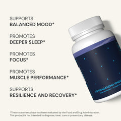 Blueprint Bryan Johnson bottle-top-view conveys one-per-day dosage for ease.