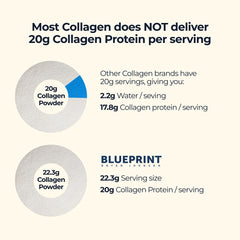 Blueprint Bryan Johnson collagen powder enhances smoothie texture and nutrition