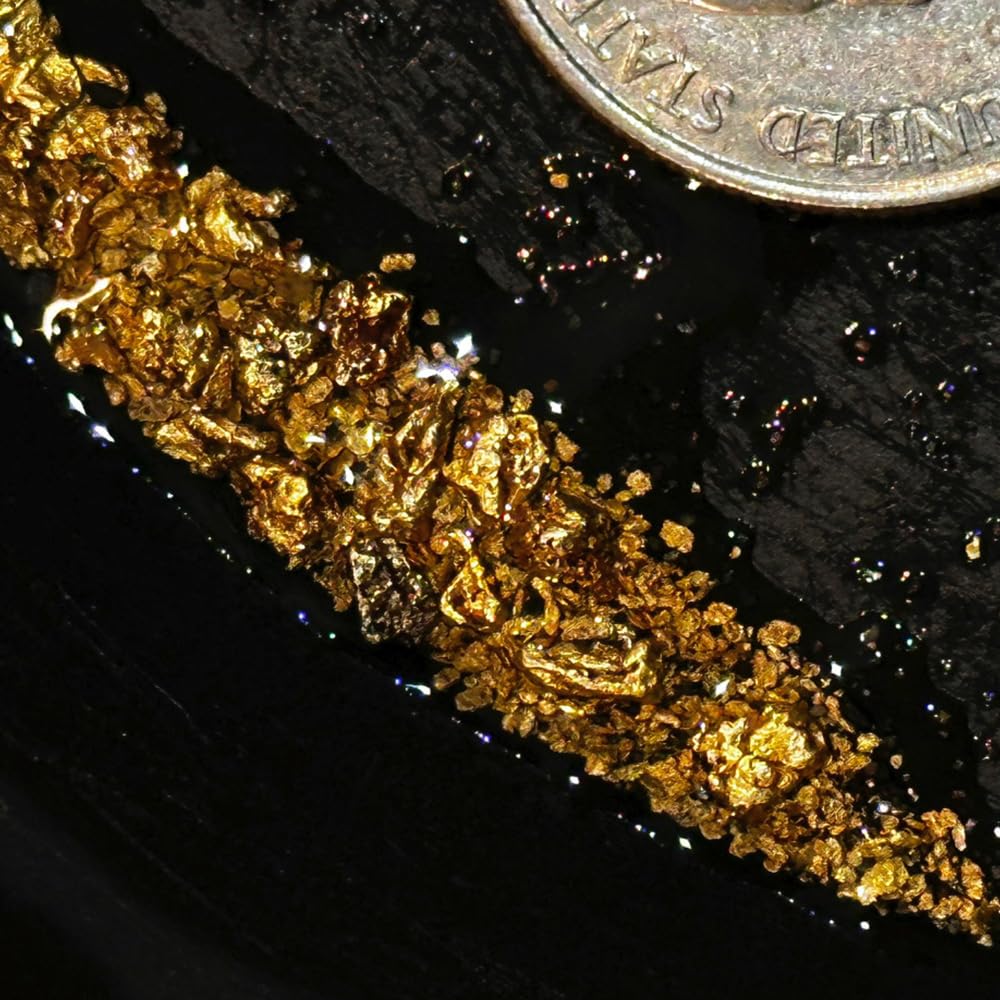 Close-up of Bobby Nugget gold flakes within paydirt, visible treasure.
