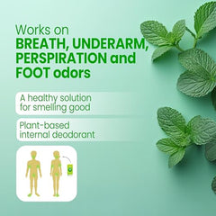 Body Mint Original packaging box with 50 tabs for easy use.