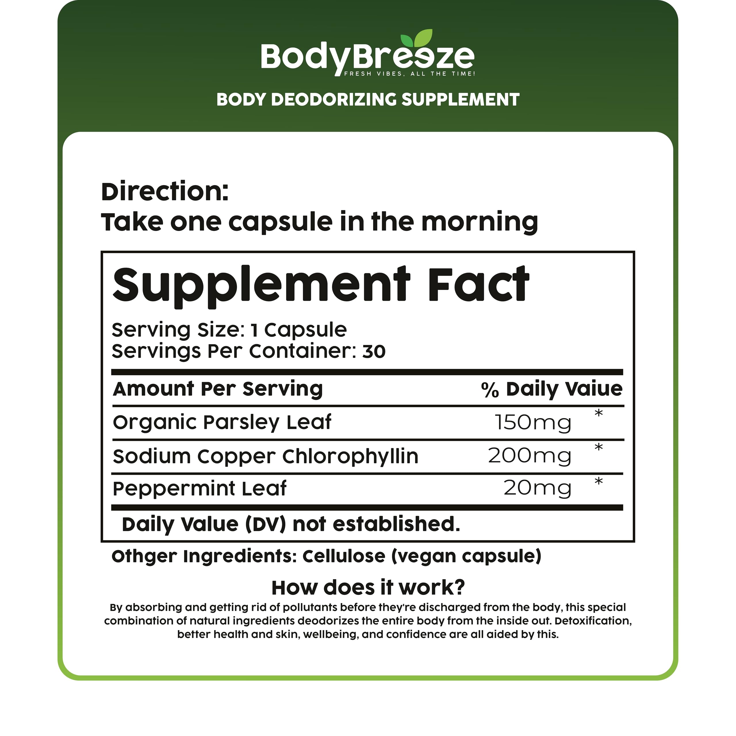 BodyBreeze USA-made seal reassures quality and safety standards.