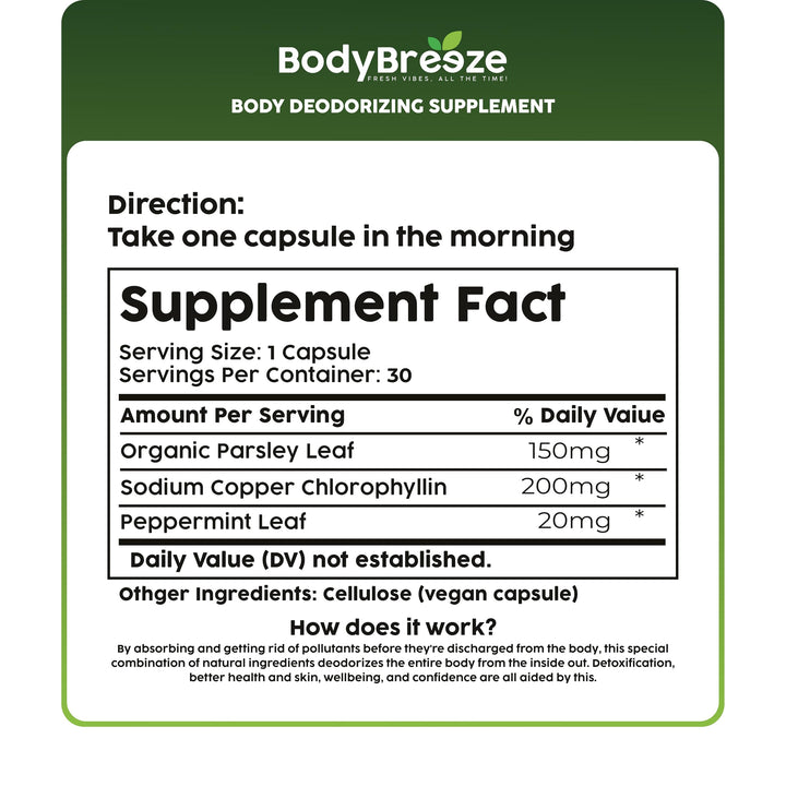 BodyBreeze USA-made seal reassures quality and safety standards.