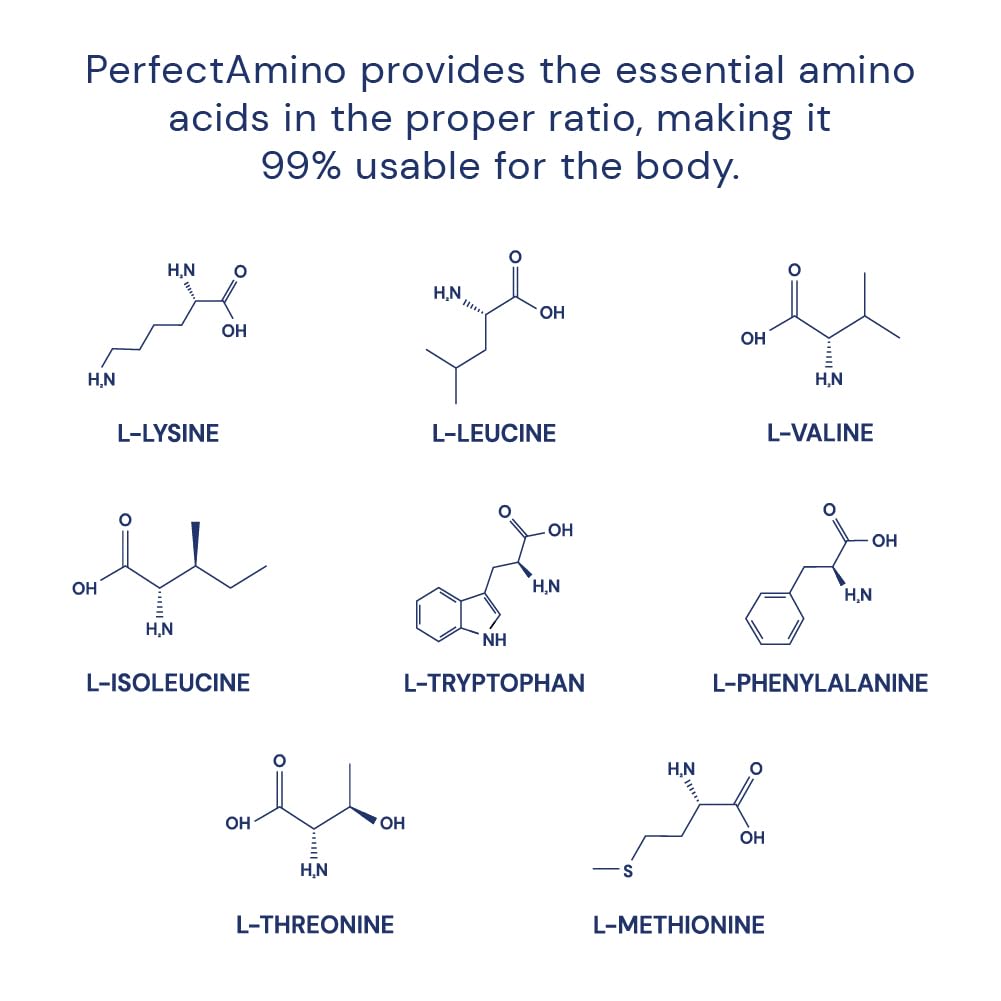 Graphic of essential amino acids emphasizing building blocks for recovery and performance potential.