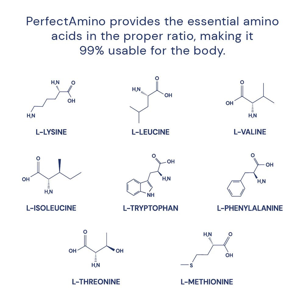 Graphic of essential amino acids emphasizing building blocks for recovery and performance potential.