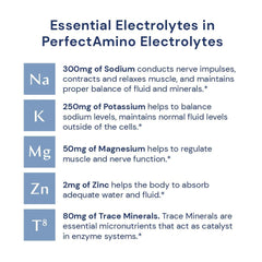 BodyHealth PerfectAmino Electrolytes Powder mixed berry glass of water emphasizes easy post-workout replenishment