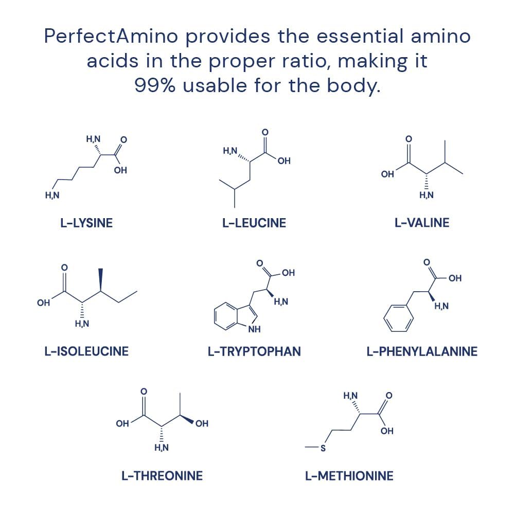 BodyHealth PerfectAmino powder label shows vegan, sugar-free formula for clean fueling