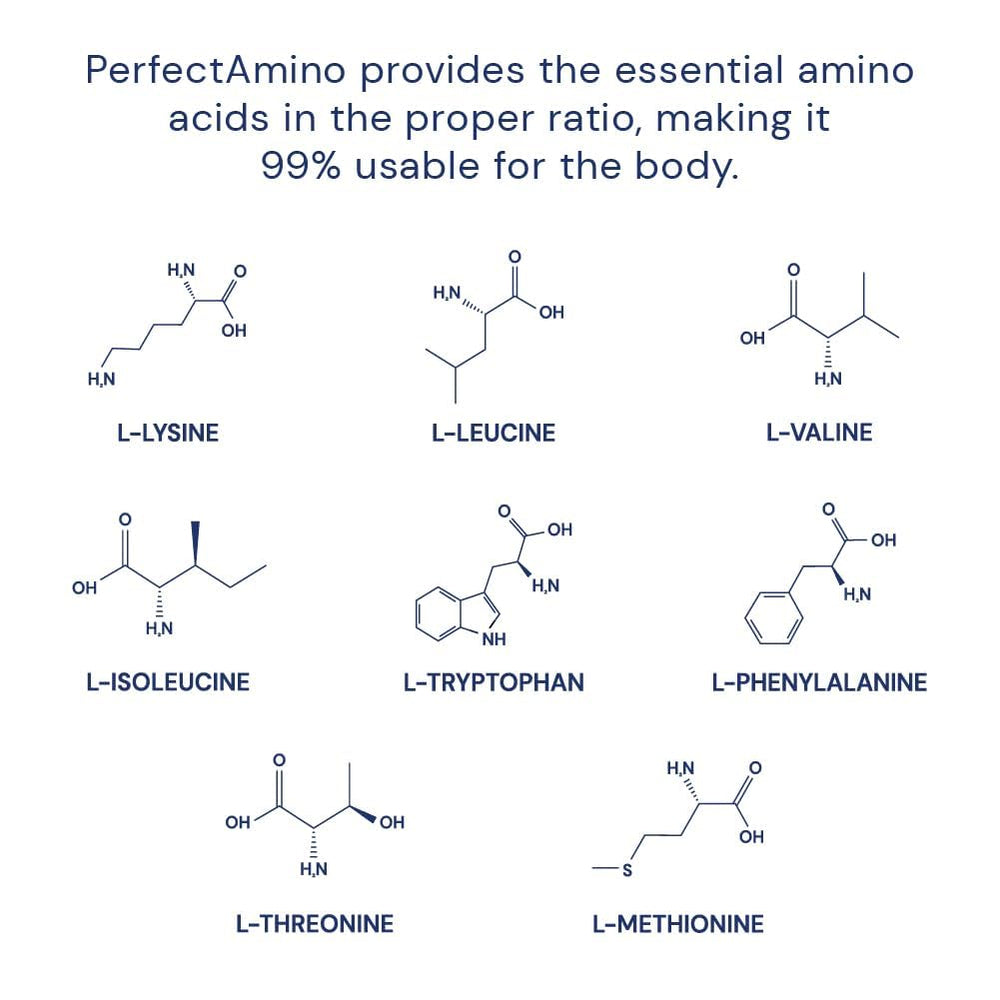 BodyHealth PerfectAmino powder label shows vegan, sugar-free formula for clean fueling