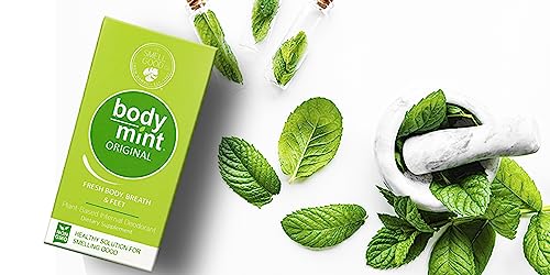 BodyMint packaging on desk suggesting convenient two-month supply.