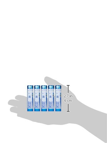 Boiron Euphrasia 30C eye care packaging closeup for symptom relief options.