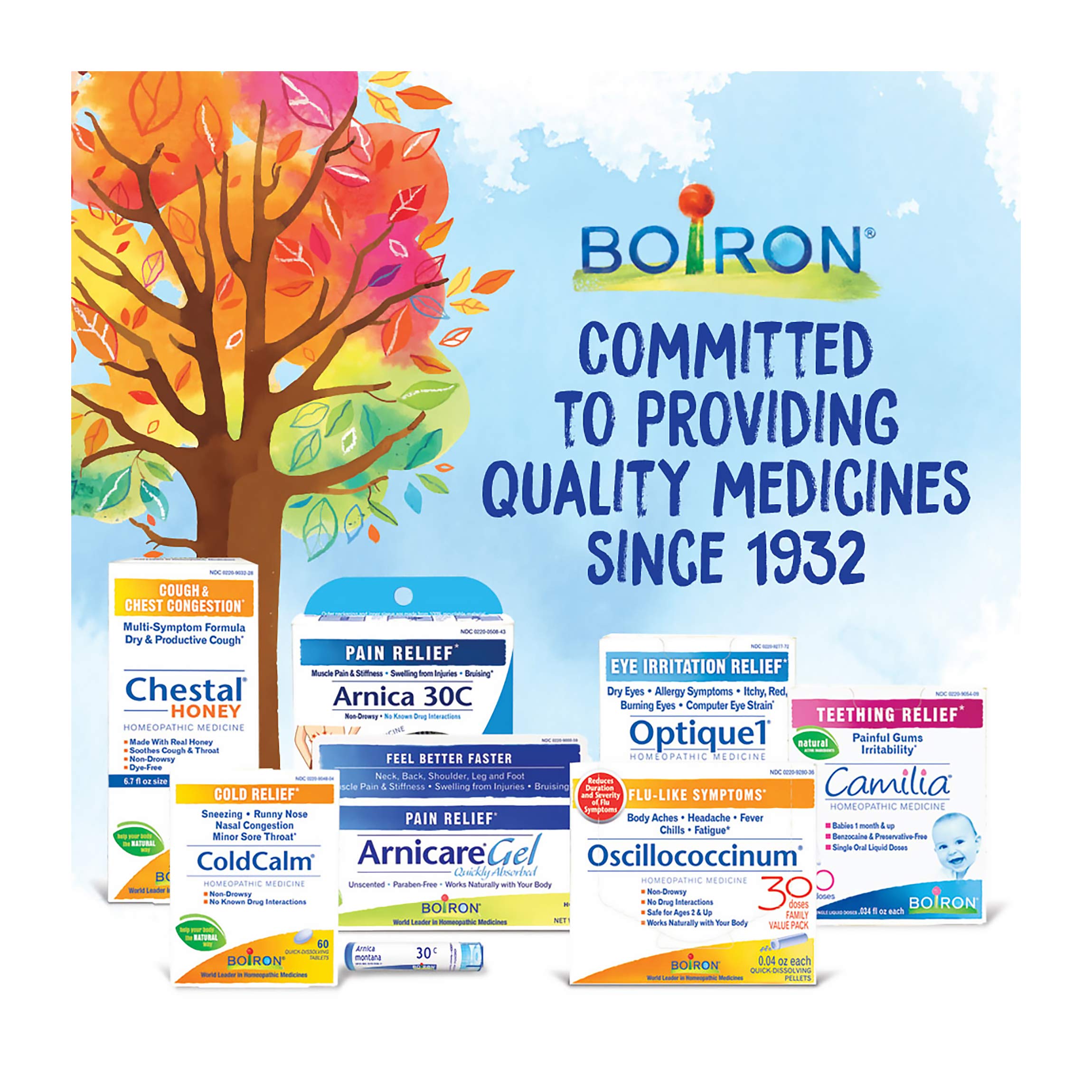 Boiron Graphites 30C usage guide showing 240 pellets across tubes.
