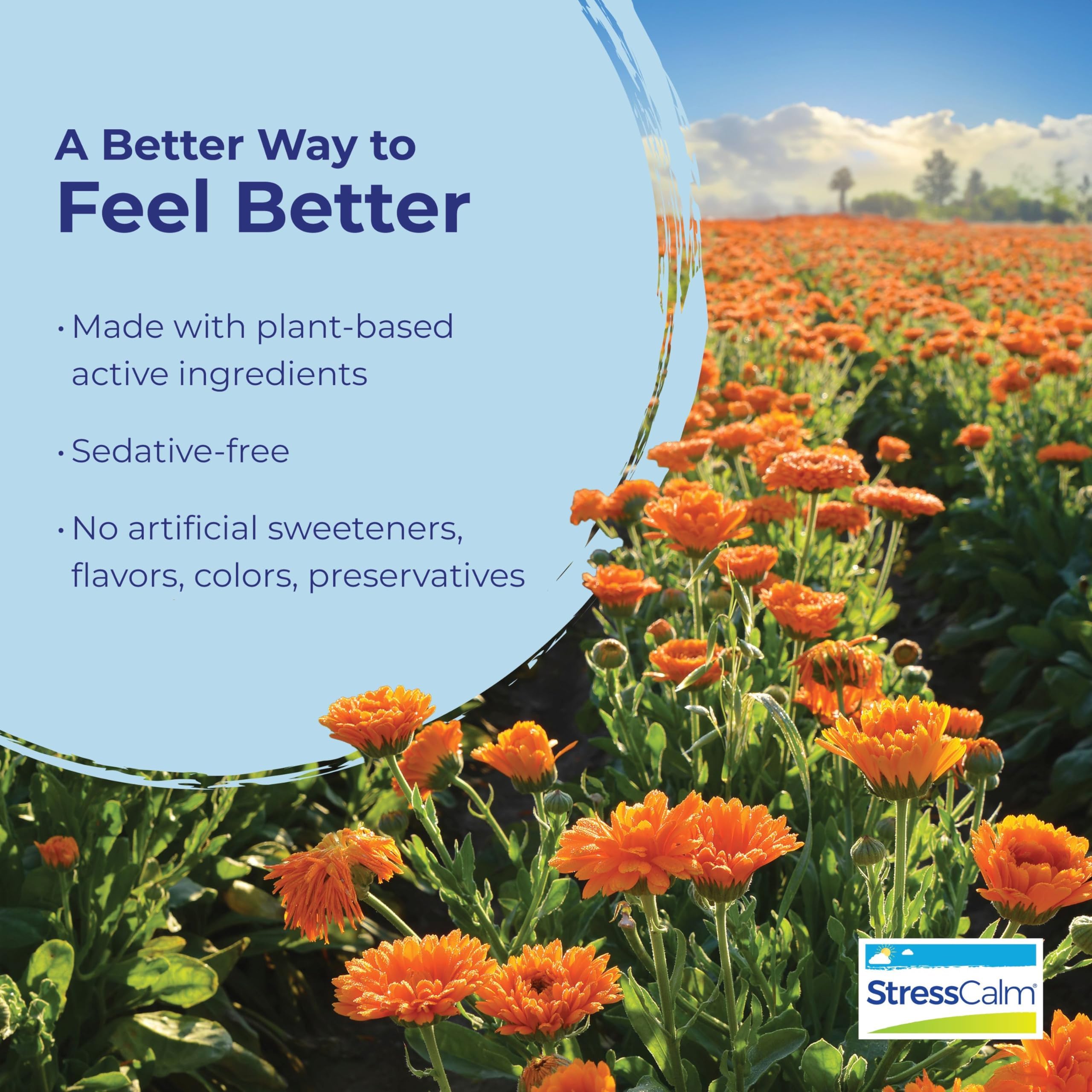 StressCalm on-the-go use concept for discreet, water-free relief.
