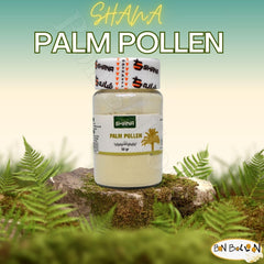 Bonballoon Shana Palm Pollen Powder spoon demonstrates easy dosing for baking and cereals