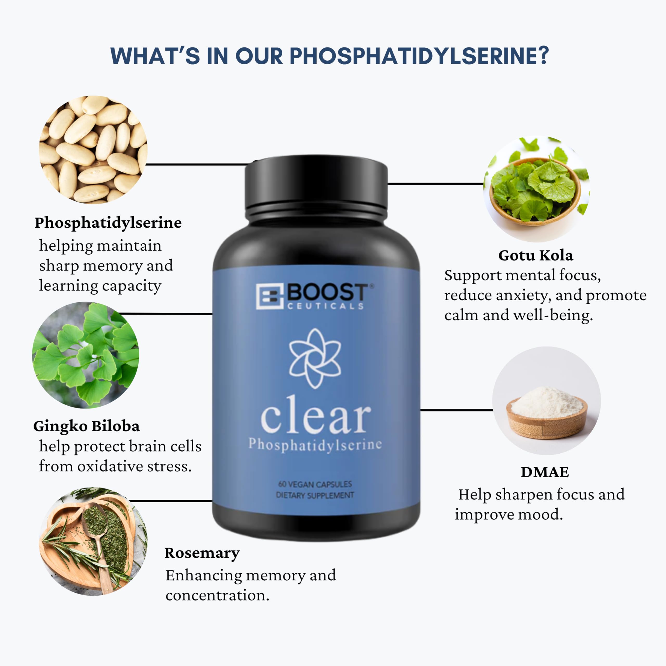 BoostCeuticals PS500mg label highlights brain-support ingredients like Ginkgo Biloba.