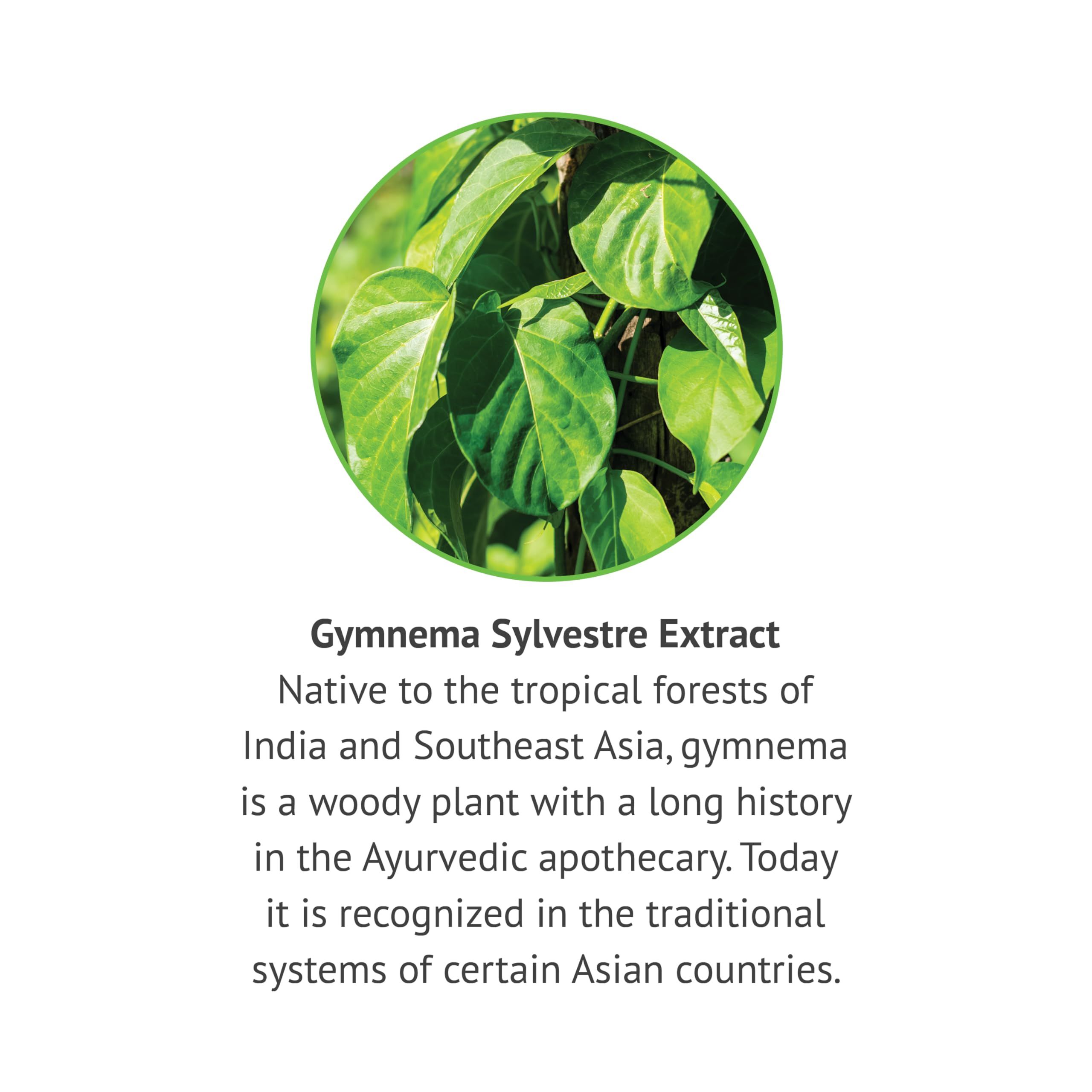 Botanic Choice Gymnema Sylvestre liquid pour captures smooth, easy integration into routines.