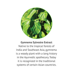 Botanic Choice Gymnema Sylvestre liquid pour captures smooth, easy integration into routines.