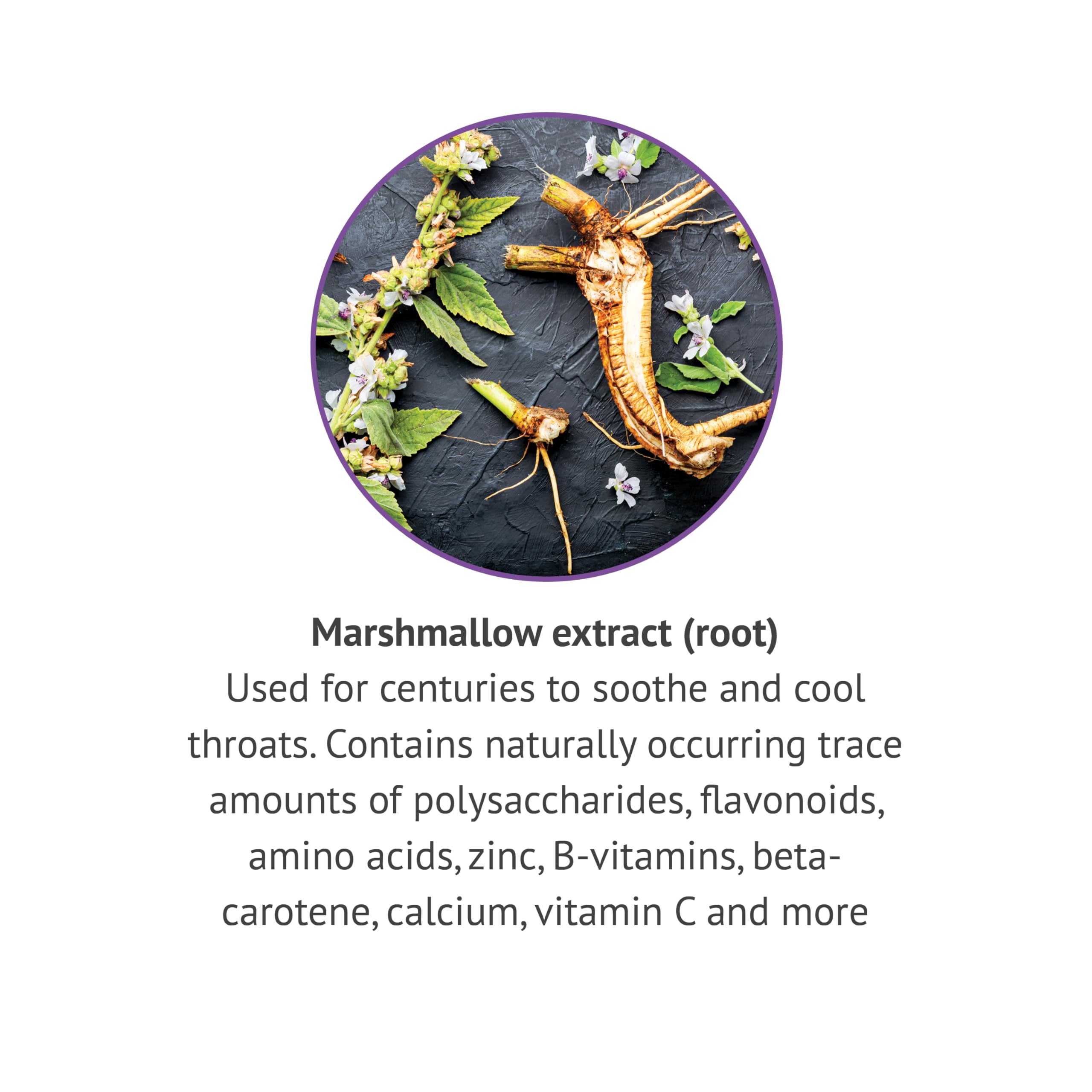 Botanic Choice marshmallow root liquid extract label close-up highlighting gluten-free formula.