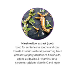 Botanic Choice marshmallow root liquid extract label close-up highlighting gluten-free formula.
