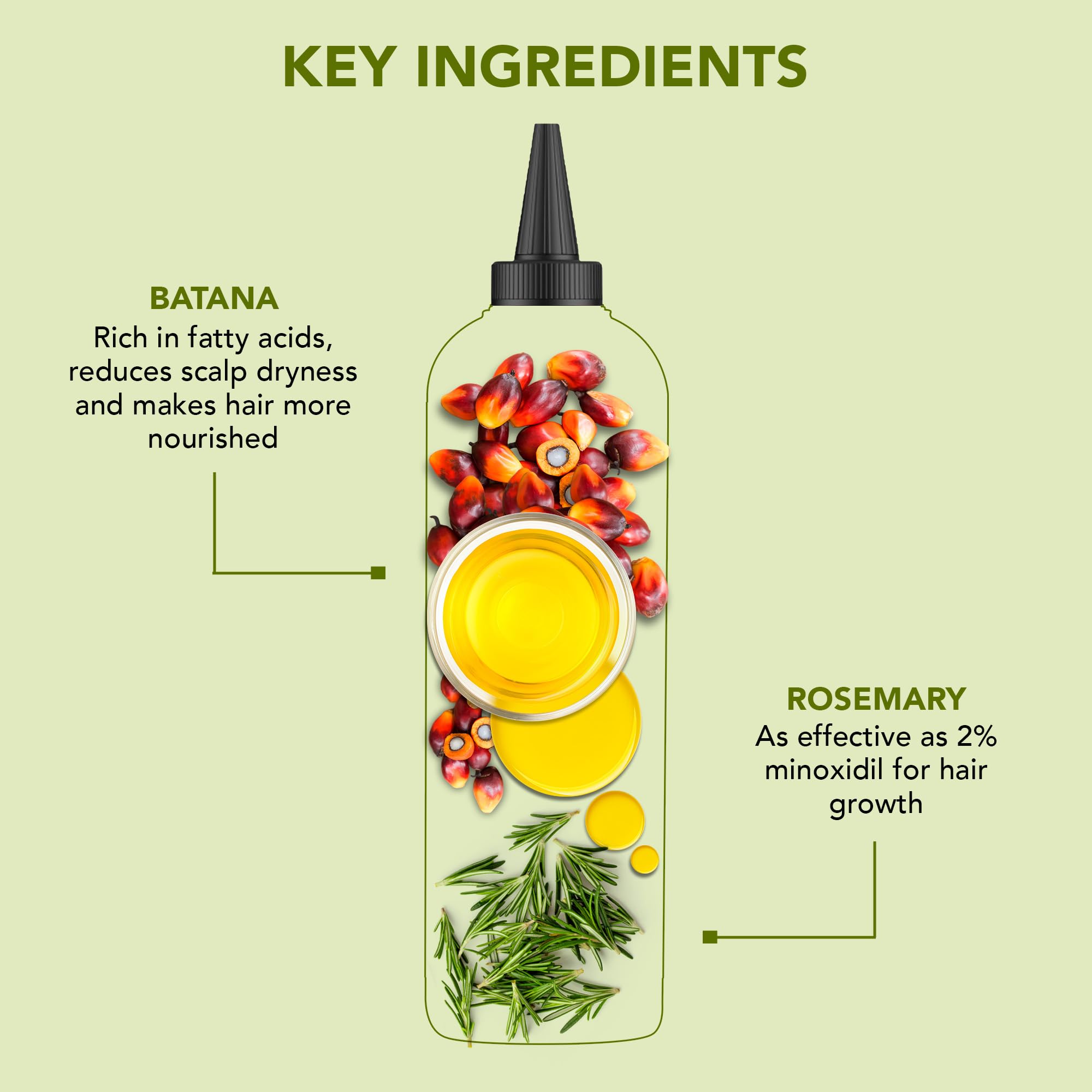 Botanic Hearth Rosemary Batana Hair Oil nozzle aids precise scalp application