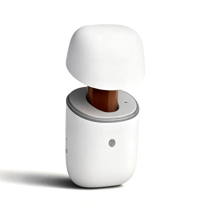 Bovrisy waterless diffuser with compact design for small to medium spaces