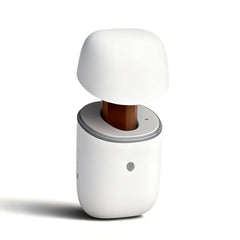Bovrisy waterless diffuser with compact design for small to medium spaces