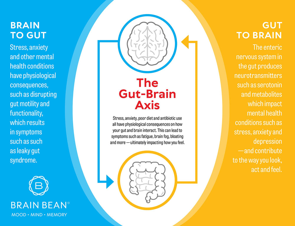 Brain Bean IgG powder blended into a protein shake for convenience.