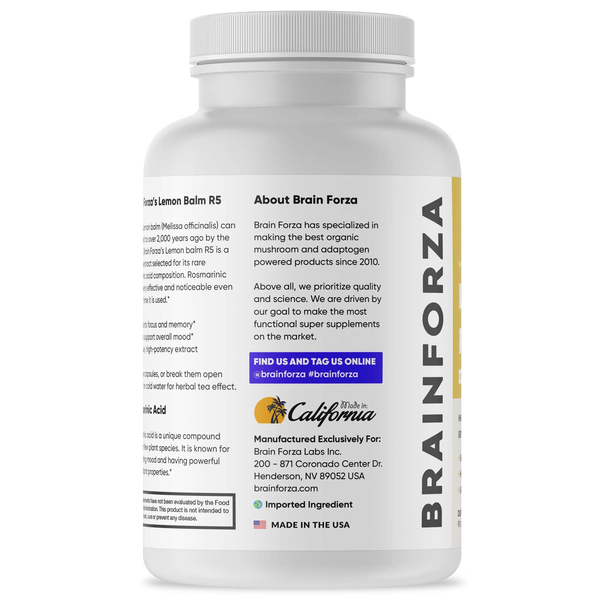 Brain Forza label close-up highlighting rosmarinic acid content.