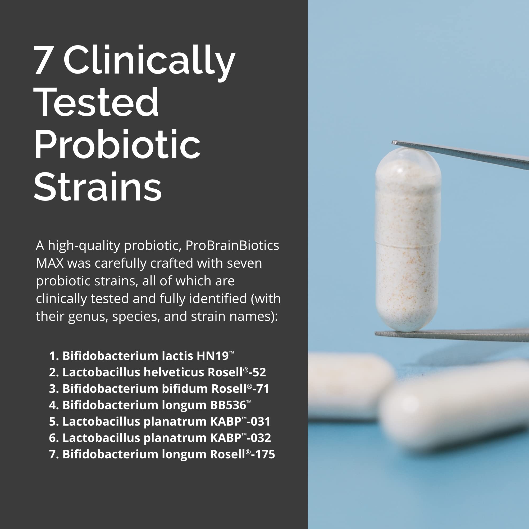 Illustration of BrainMD ProBrainBiotics Max immune support concept.