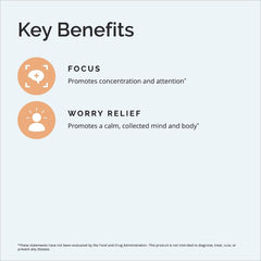 Zinc mineral capsules from BRAINMD, supporting overall wellness