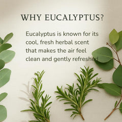 Breebit Eucalyptus Room Mist lightly scents a bedroom and soft surfaces