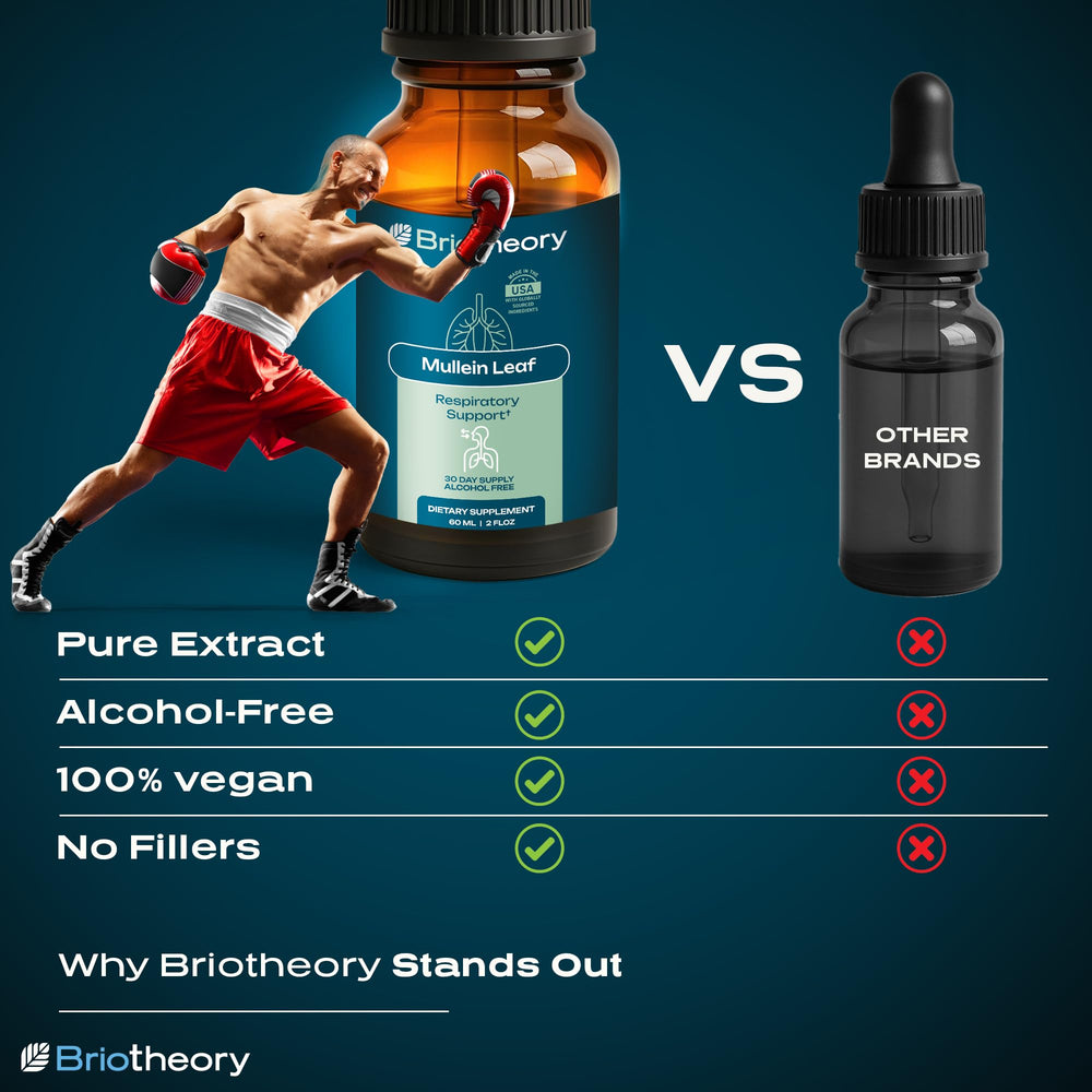 BRIOTHEORY Mullein Leaf Extract GMP-certified facility badge signals premium quality