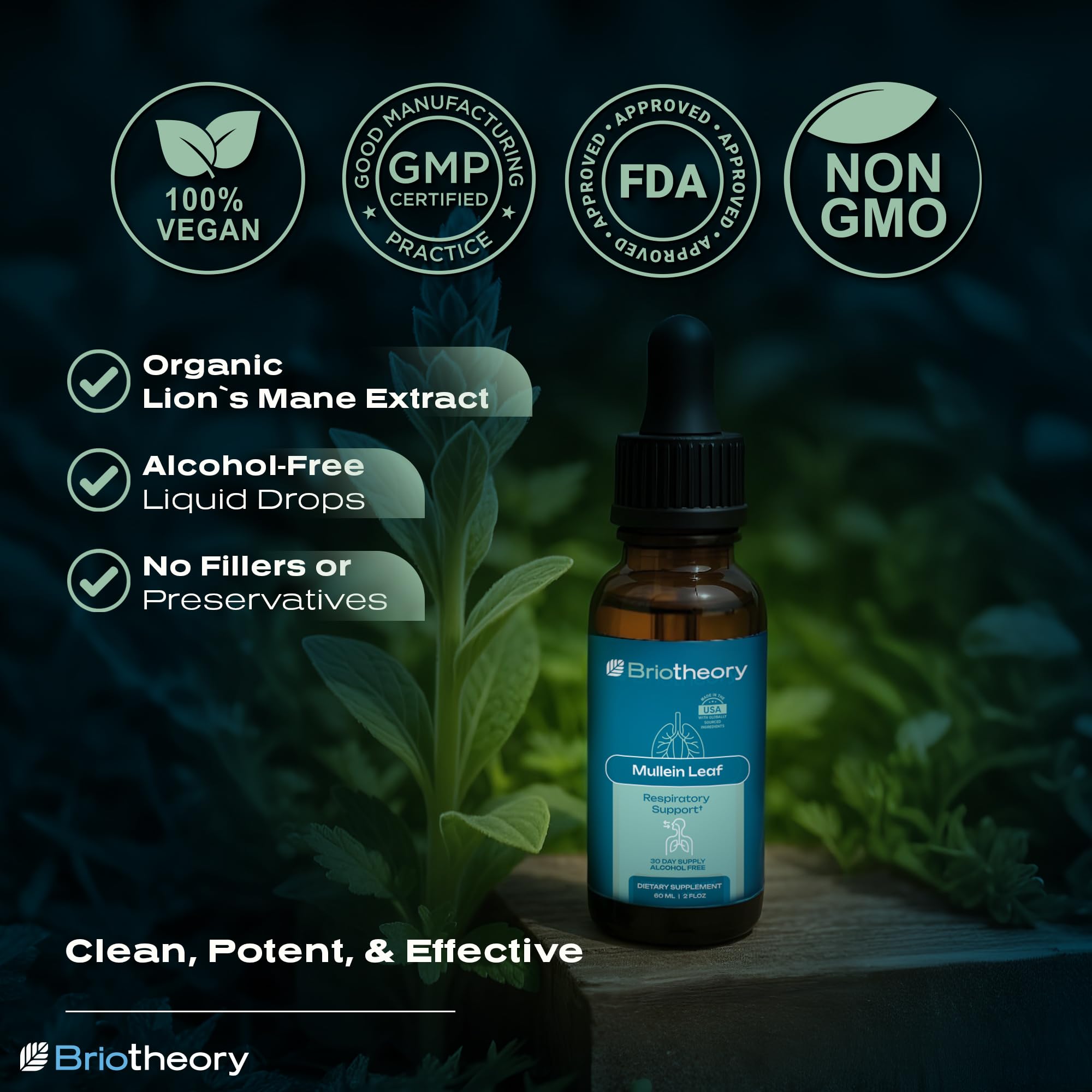 BRIOTHEORY Mullein Leaf Extract liquid drops in glass convey convenient, alcohol-free lung support