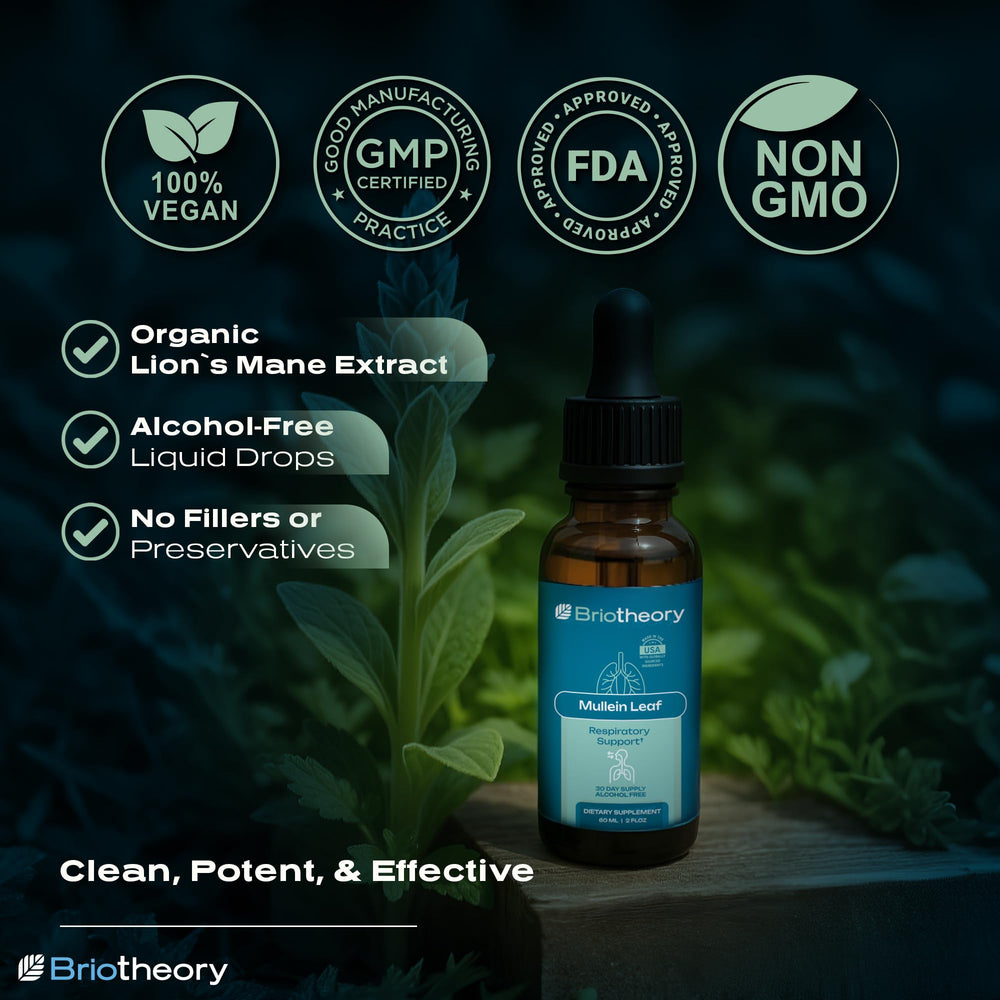 BRIOTHEORY Mullein Leaf Extract liquid drops in glass convey convenient, alcohol-free lung support