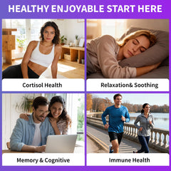 Infographic of Brixxlor Ashwagandha Gummies 11-in-1 formula ingredients