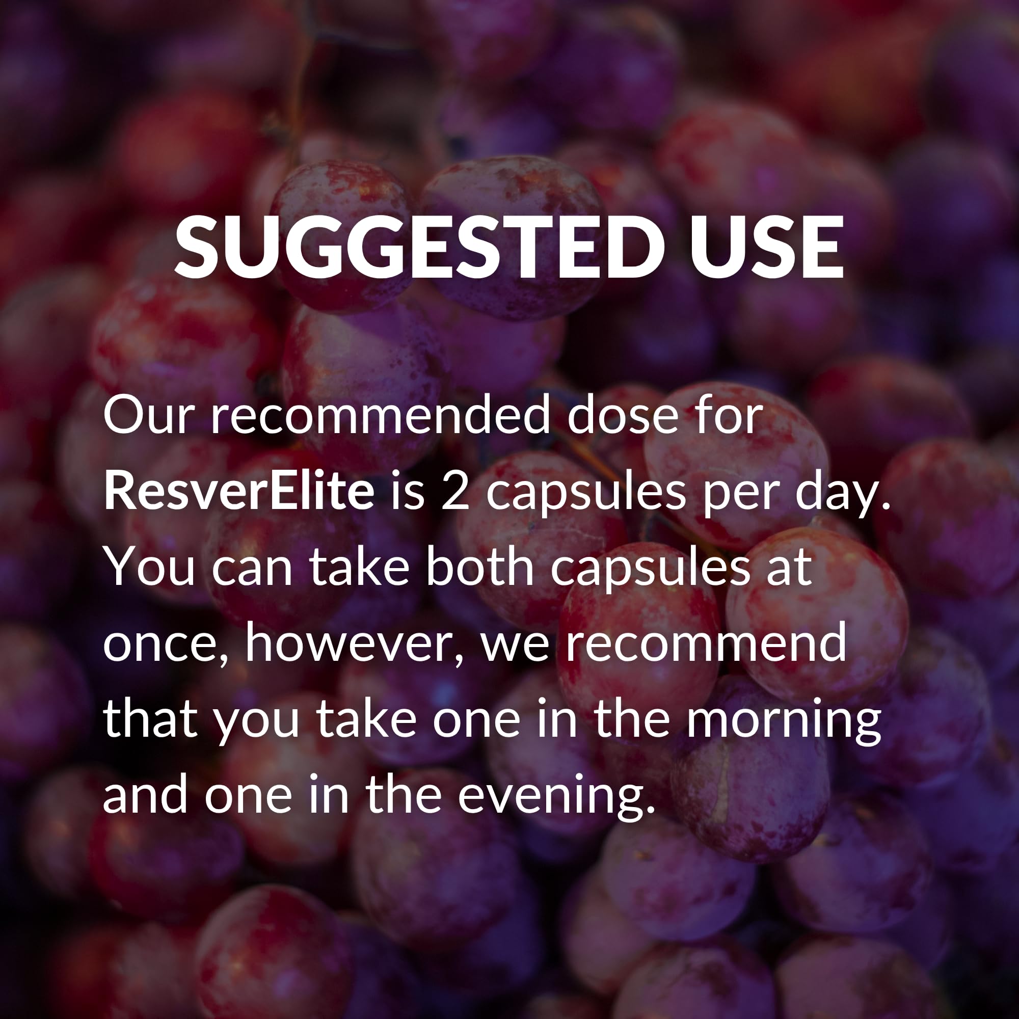 BrocElite ResverElite capsule close-up shows compact daily-use size.