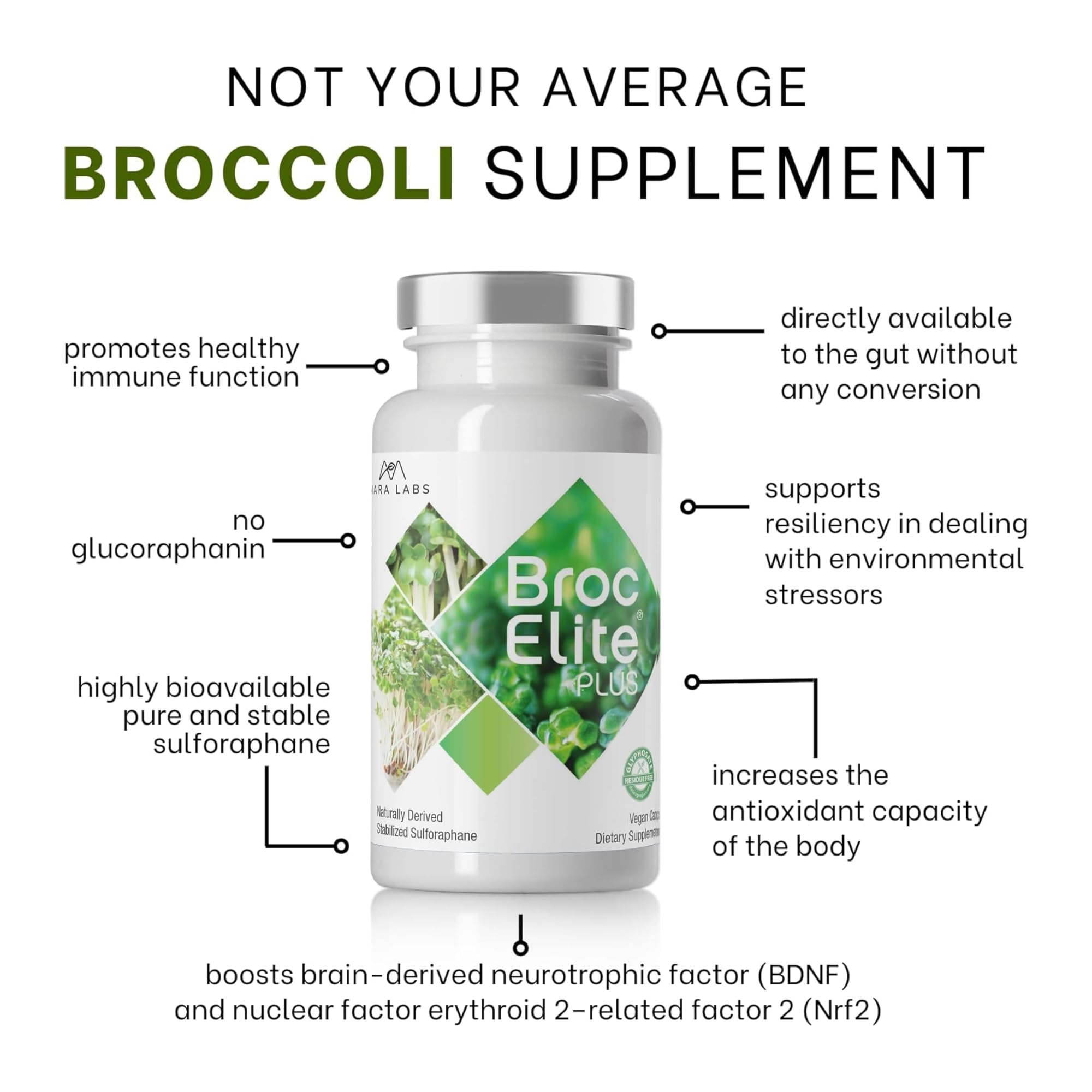 BrocElite two-capsule daily routine—simple, predictable nourishment