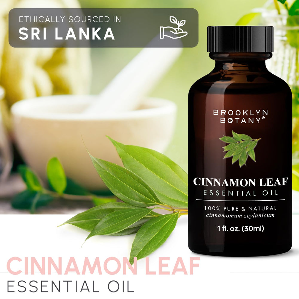 Brooklyn Botany Cinnamon Leaf Oil beside a diffuser setup.