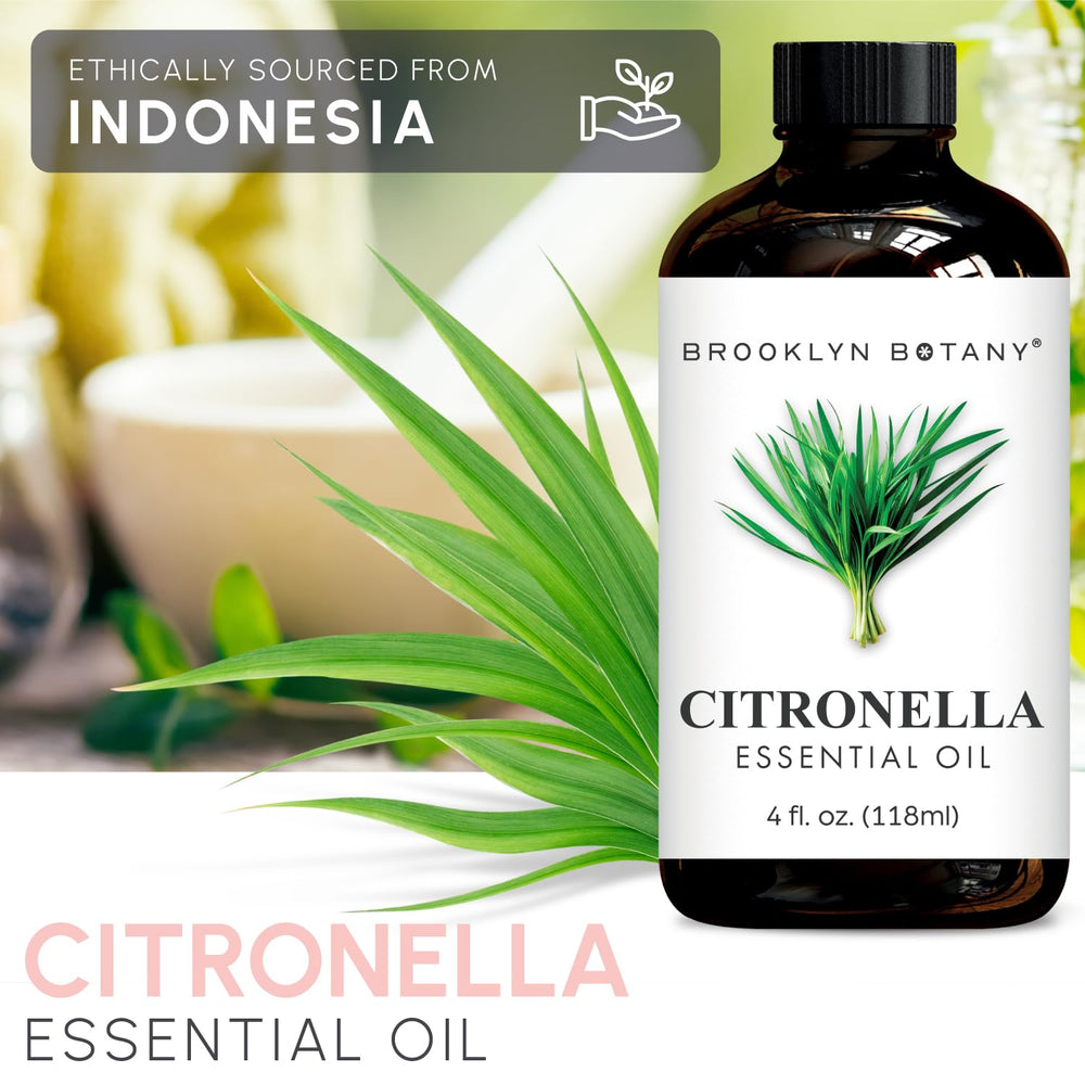 Diffuser setup with Brooklyn Botany Citronella oil for refreshing room aroma.