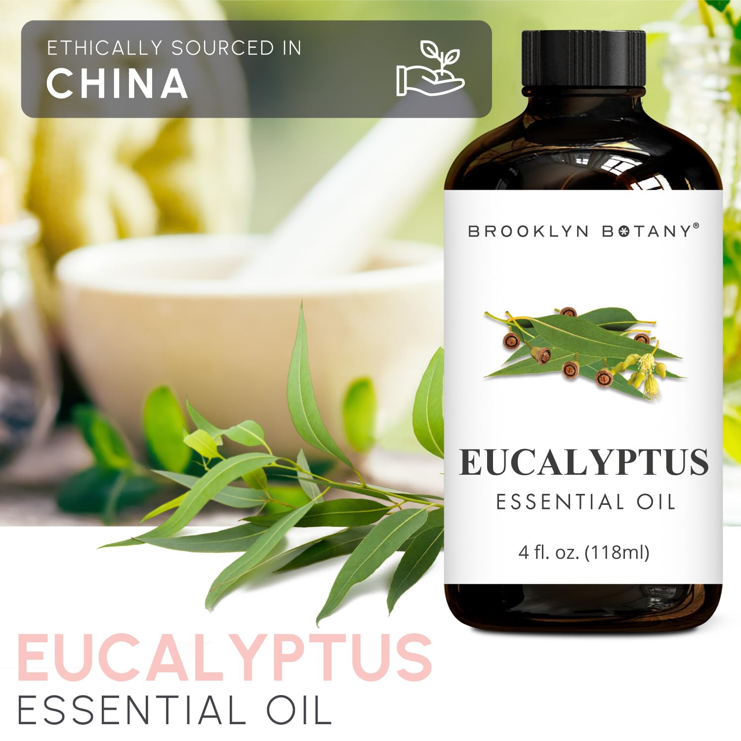 Diffuser-ready Brooklyn Botany Eucalyptus Oil for aromatherapy sessions