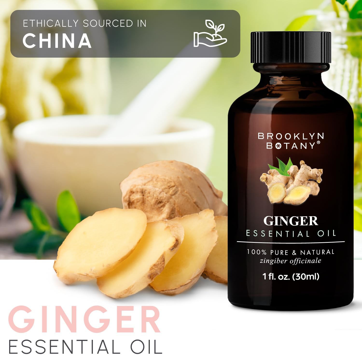 Fresh ginger root close-up inspired Brooklyn Botany oil sourcing.