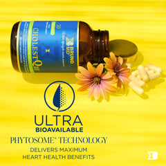 BRUNO MD CholestQ10 artichoke leaf extract close-up