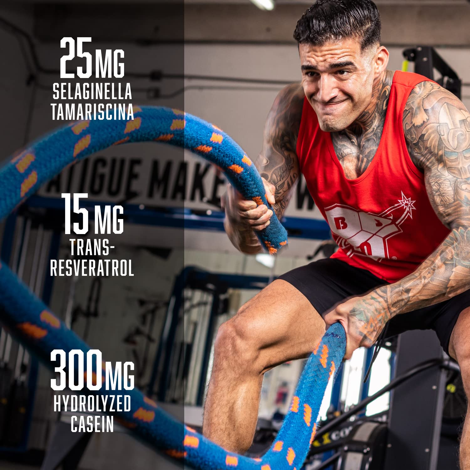 BSN N.O.-XPLODE VASO label highlights citrulline and NO3-T for pump potential