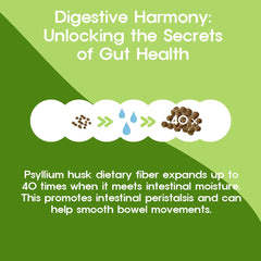 BTGIN Jangdabium digestive health granules bottle showing smooth digestion.