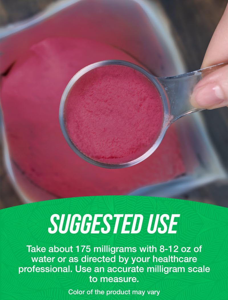 Bulksupplements Elderberry Extract Powder jar shows rich color and powder texture.