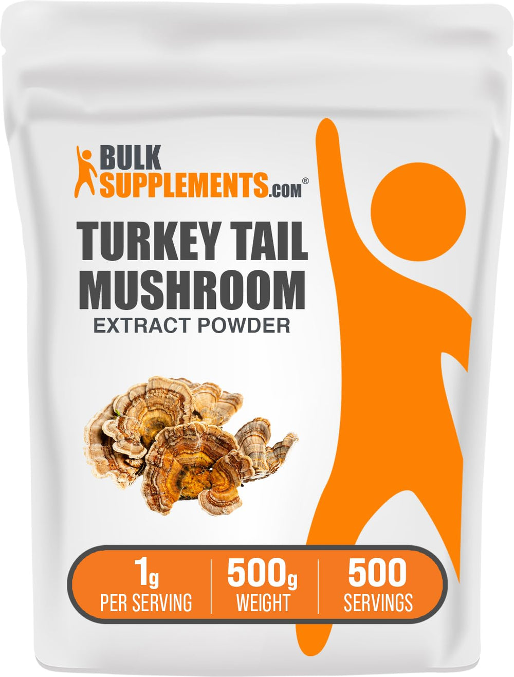 BulkSupplements Turkey Tail mushroom extract powder bottle for daily wellness.