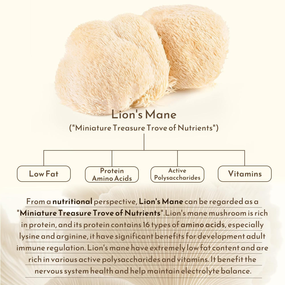 Bunkell Lion's Mane capsules pouring into a cup for daily use.